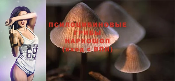 гашик Армянск