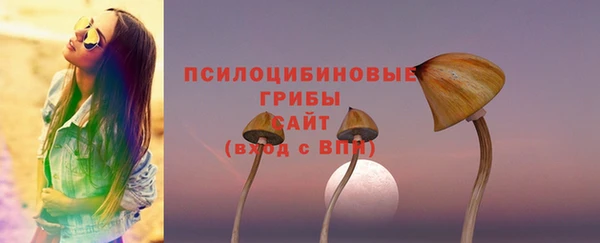 ПСИЛОЦИБИНОВЫЕ ГРИБЫ Аркадак