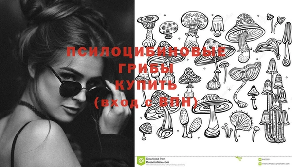 ПСИЛОЦИБИНОВЫЕ ГРИБЫ Аркадак
