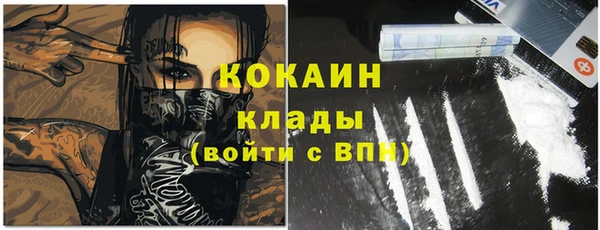 ПСИЛОЦИБИНОВЫЕ ГРИБЫ Аркадак