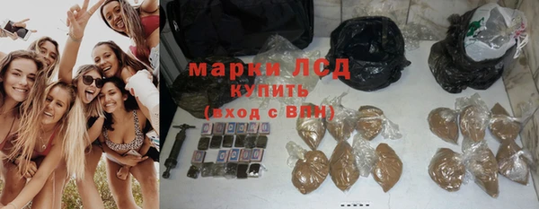 ПСИЛОЦИБИНОВЫЕ ГРИБЫ Аркадак