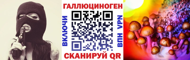 darknet формула где купить наркотик Саров Галлюциногенные грибы Psilocybine cubensis
